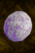 Veaber’s Egg.png