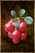 Gaberries.png