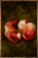 Crabeye Seed.png