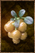 Boiled Gaberries.png