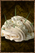 Spiny Meringue.png
