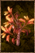 Seared Root.png