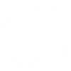 Ability Orisa Halt!.png