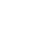 Barrier Shield.png