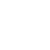 Adaptive shield.png