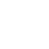 Icon-ability.sprint.png