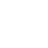 DUPLICATE.png