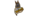 All Businesslogo std.png