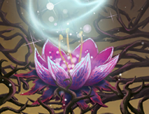 Card Sparkle.png