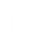 GUI Store Icon.png