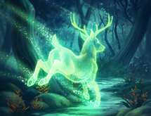 Card Glimmer.png