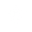 GUI Quest Icon.png