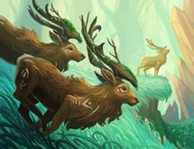 Card Fauna.png