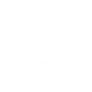 GUI Game Modes Icon.png