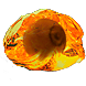 Hollow Fossil inventory icon.png