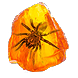 Shuddering Fossil inventory icon.png