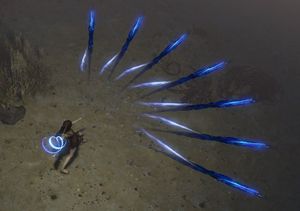 Power Siphon skill screenshot.jpg