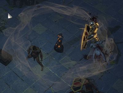 Сотрясающий тотем skill screenshot.jpg