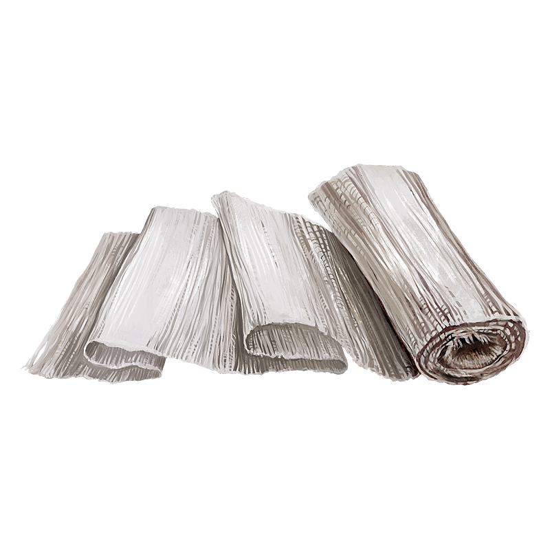 Bandage Official Pathologic Wiki