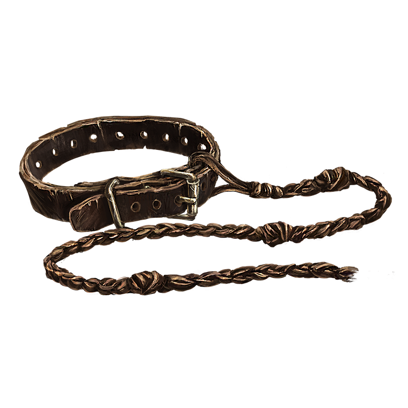Leash Official Pathologic Wiki