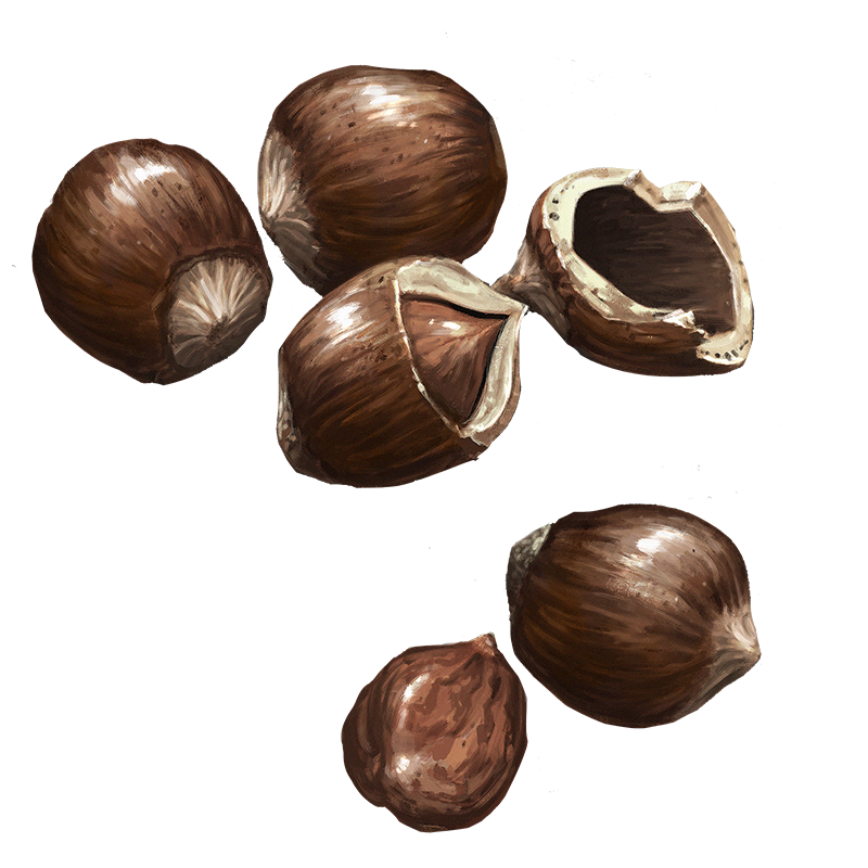Hazelnuts Official Pathologic Wiki