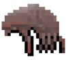 HeadLice.png