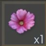 Agave.jpg