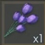 Tulip.jpg