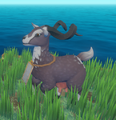Goat - Official Raft Wiki