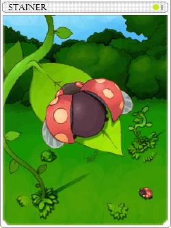 StainerCard.png
