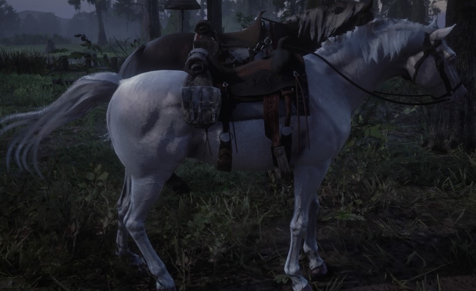 The Count Red Dead Redemption 2 Wiki