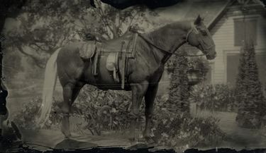 Kentucky Saddler - Red Dead Redemption 2 Wiki