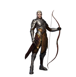 elven archer rise of