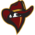 Renegades (North American Team)logo square.png