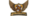 Aerialitylogo std.png