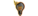 Lights Out!logo std.png