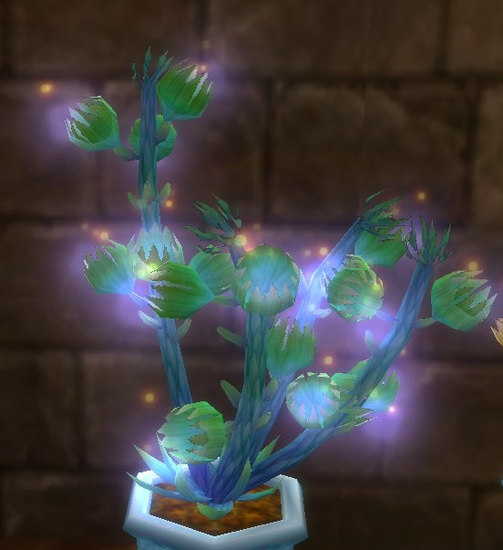 Needle Seed Runes of Magic Wiki