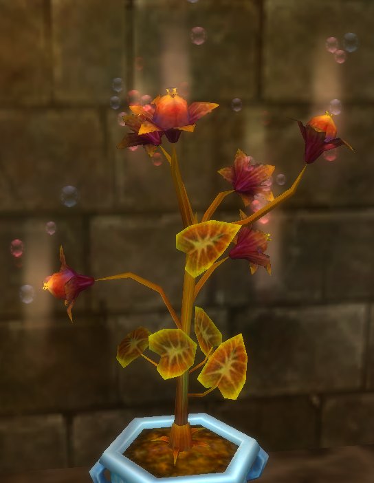 Echo Seed Runes of Magic Wiki