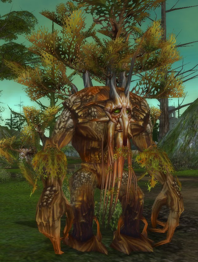 Hidden in the Forest Runes of Magic Wiki