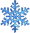 Snowflake Festival