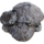 Mycelia.png