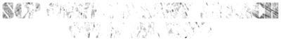 Intro header.png