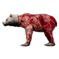 Skinned Bear - Official Scum Wiki