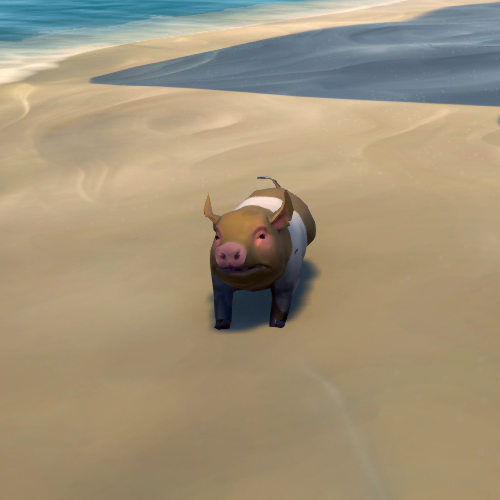 Gold Striped Pig Sea of Thieves Wiki