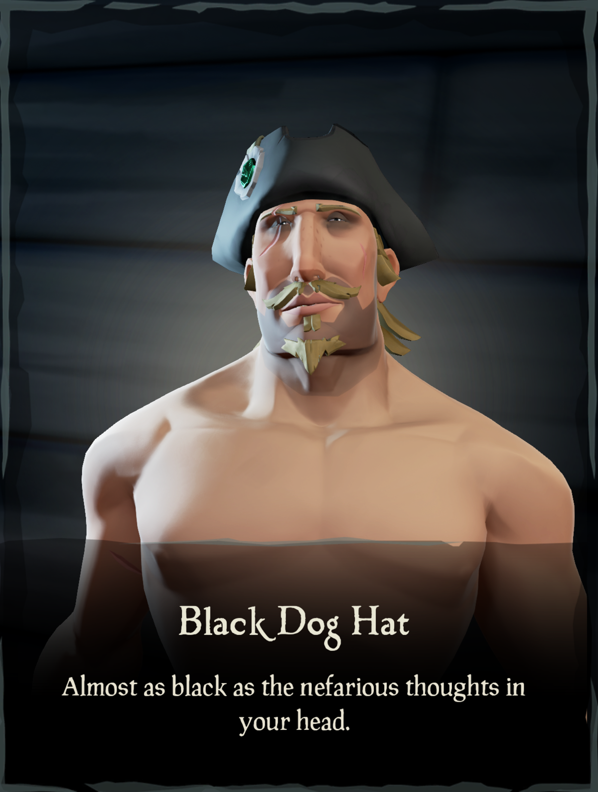Black Dog Hat Sea of Thieves Wiki