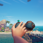 The Wailing Barnacle Set Sea of Thieves Wiki The Wailing Barnacle Set Sea of Thieves Wiki