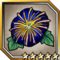 Midnight Glory.png