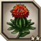 Ruby Safflower.png