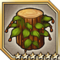 Green Hornbeam.png