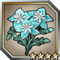 Royal Frost.png